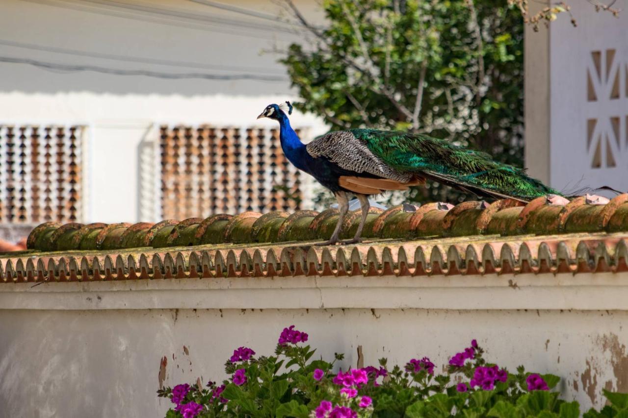 Alojamento de Turismo Rural Quinta Da Foz *